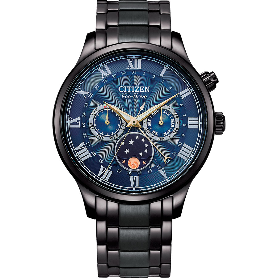 Citizen Eco-Drive AP1055-87L
