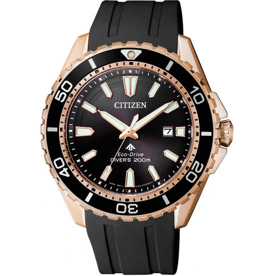 Citizen Promaster BN0193-17E